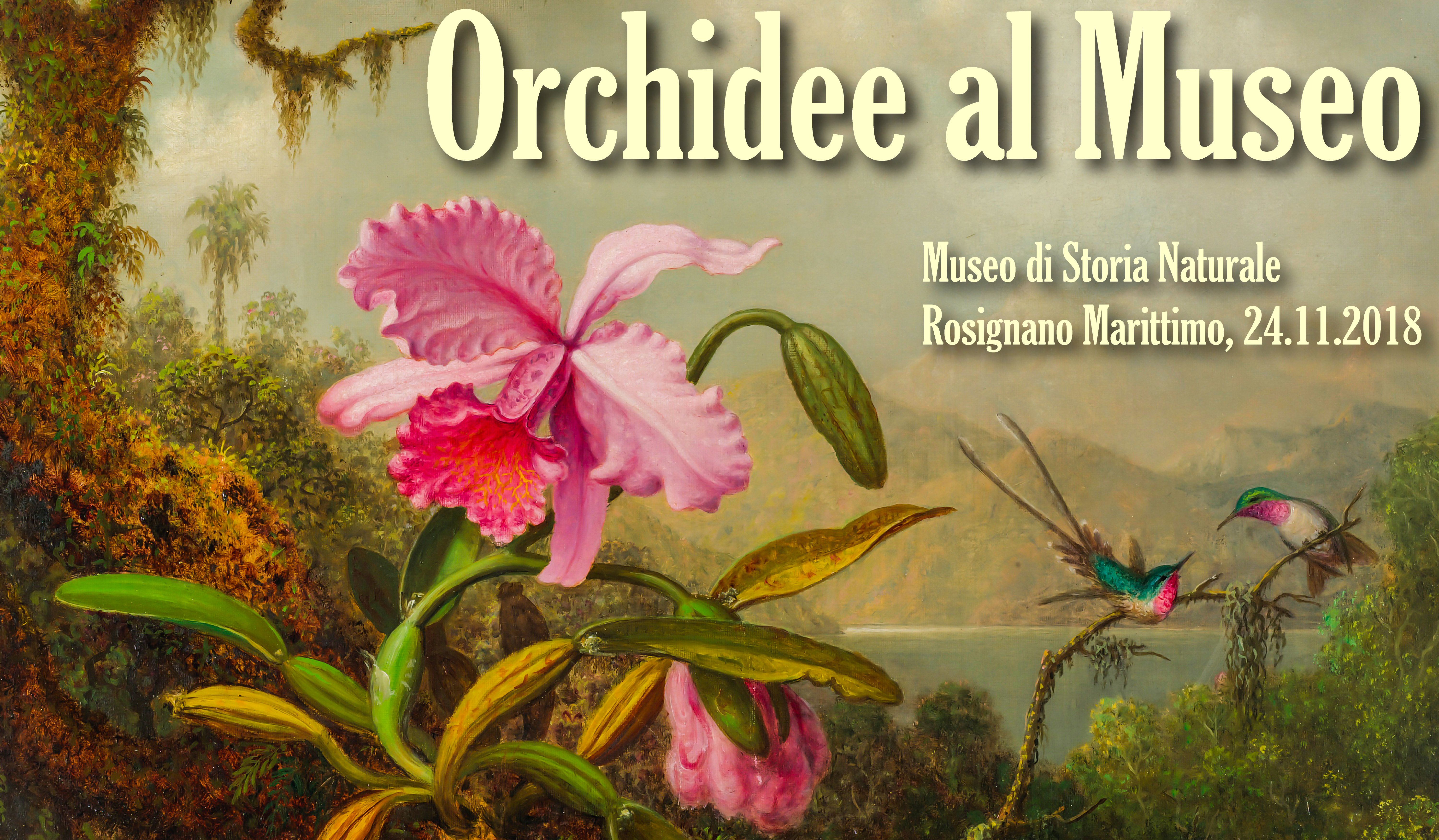 Orchidee-al-Museo